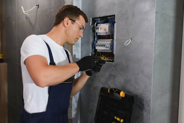 Best Local Electrician Companies  in Swansea, IL