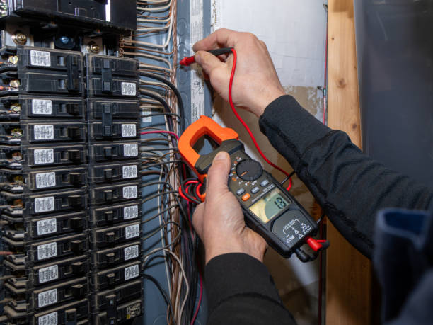 Best Electric Panel Repair  in Swansea, IL